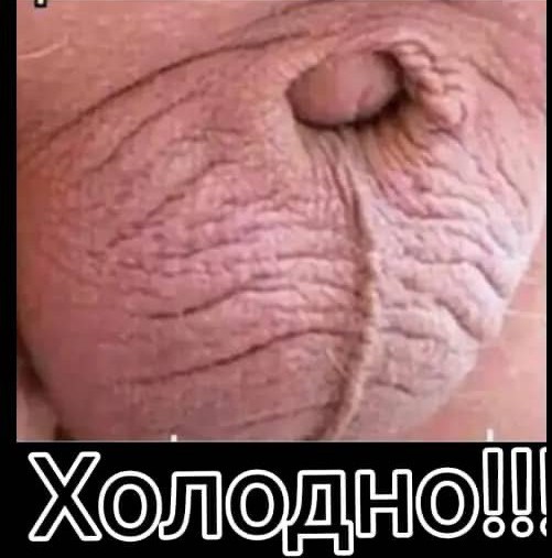 Как вам погода