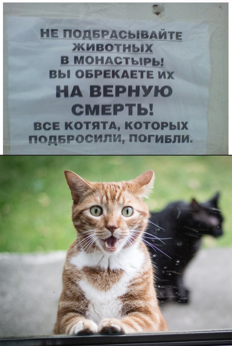 Народная меДИЧина 1001