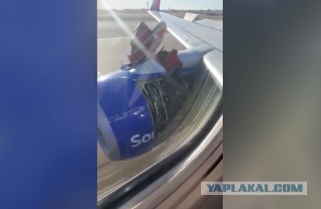 ЯП не отказался так полетать...
