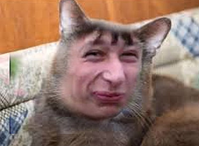 Купание кота, как вид боевого искусства