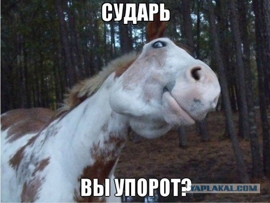 Рисованные животные дурачатся