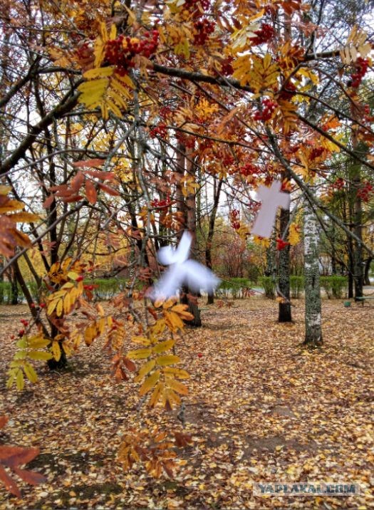 Оборотни против вампиров. Конкурс ужастиков к 31 октября