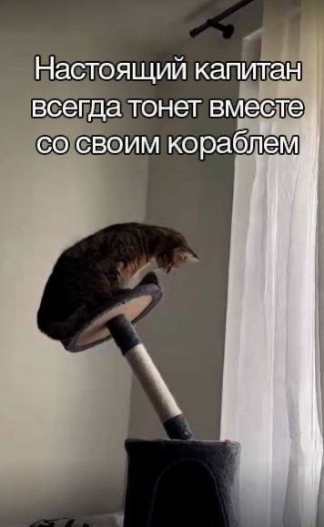 Так себе картинки 21.12.24