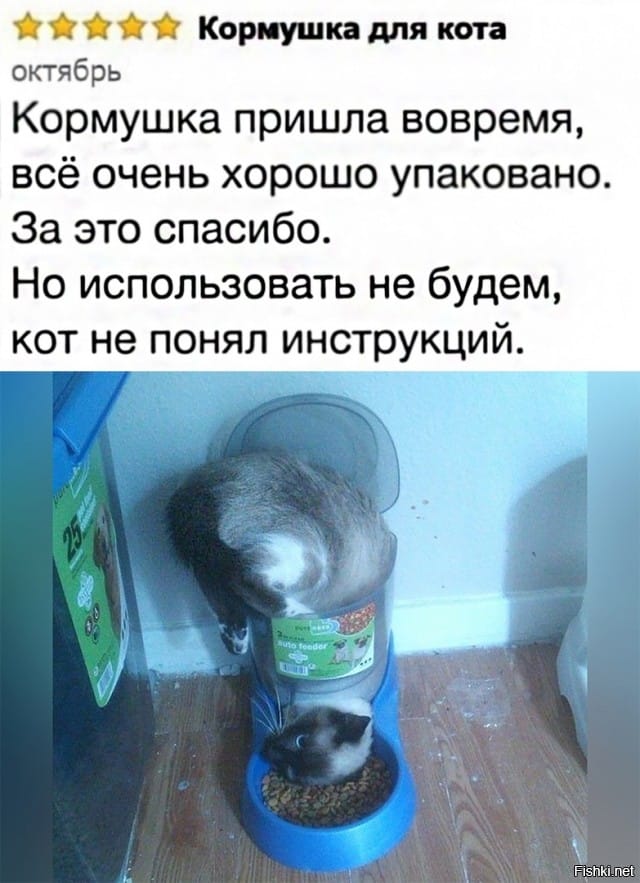 Весёлые картинки 2