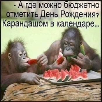 Маленькая пятница 29.01.25