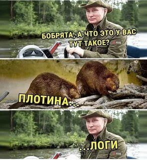 Владельцы бань, теплиц и сараев теперь должны платить налог на имущество