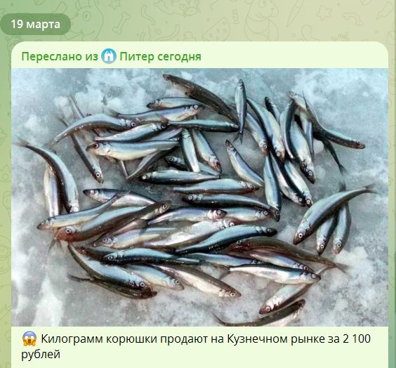 Сколько стоит корюшка в городах, где её ловят? Ответ здесь, и вы удивитесь.