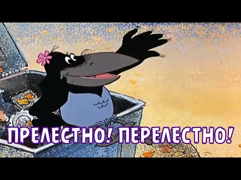 Взрывы в Киржачском районе Владимирской области, где находится арсенал ракетно-артиллерийского управления Минобороны