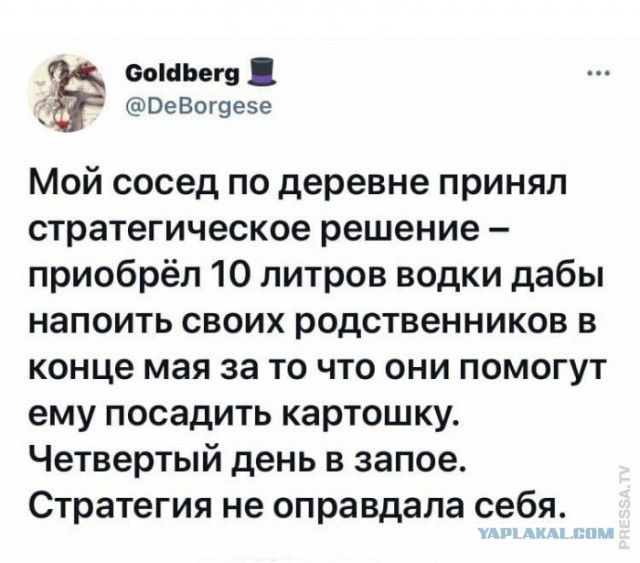 Жители Вологодской области начали закупать алкоголь в соседних регионах после введения «сухого закона»