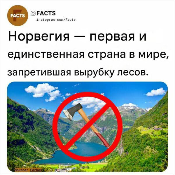 Белый слон и другие картинки