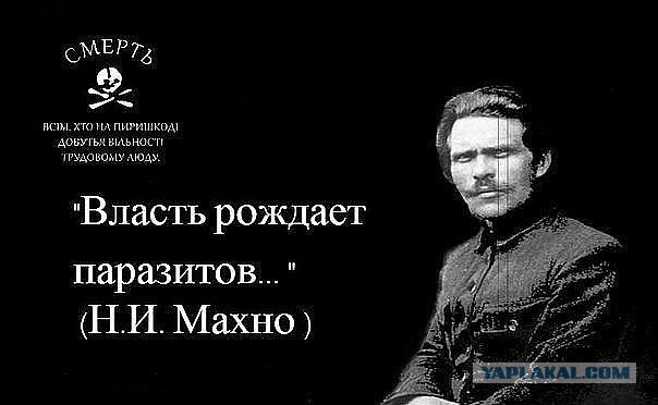 Путину доложили о взятии Димитрова и Гуляйполя