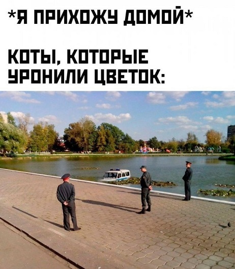 Жизнь на острове