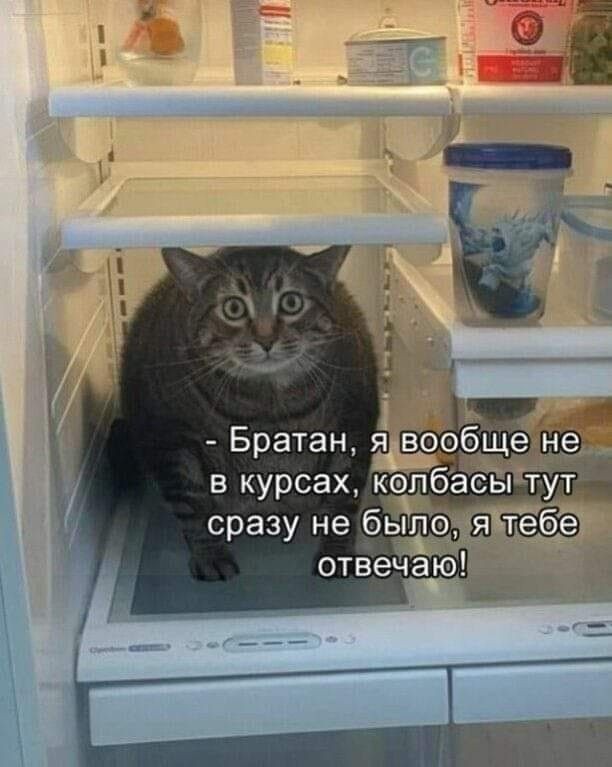 Веселые картинки в понедельник (13.04)