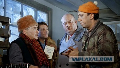 Куры не выдержали дискотеки