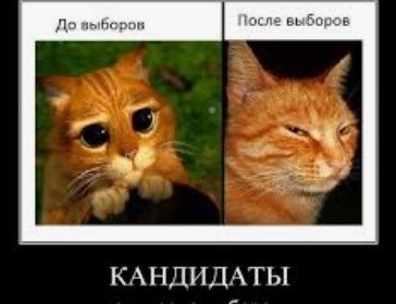 Единоросы уже начали в добровольно-принудительном порядке рассылать Всем Свои Финтифлюшки.