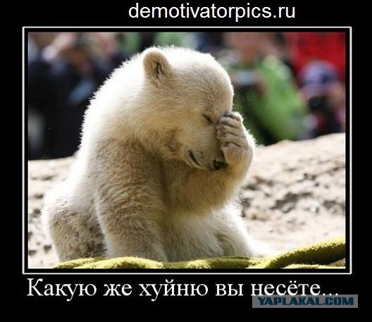 Нашему президенту слава И Путина слава!