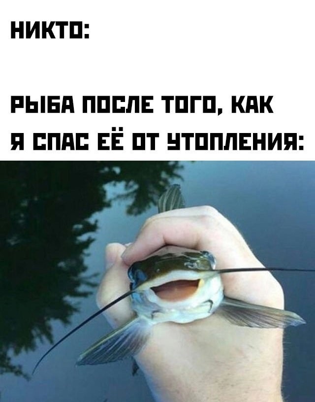 Пятничные бояны