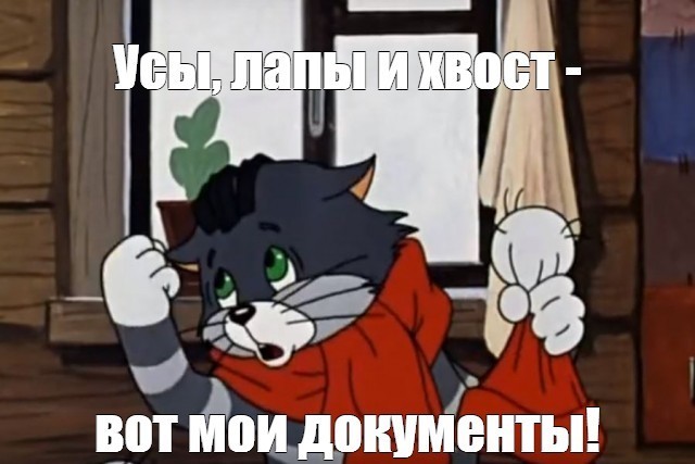 Почему в России два паспорта?