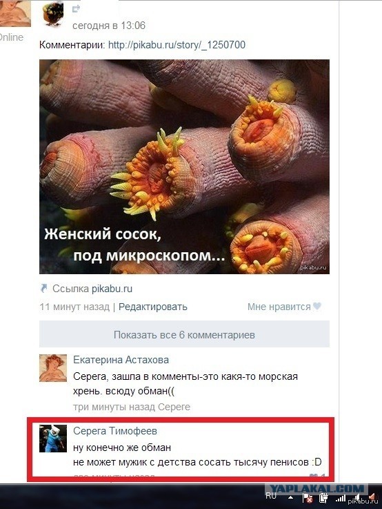 Почему я сразу подумала про Яп?