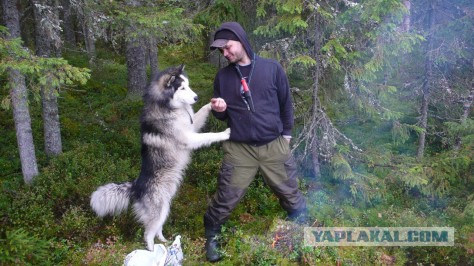 К чему приводит любопытство.