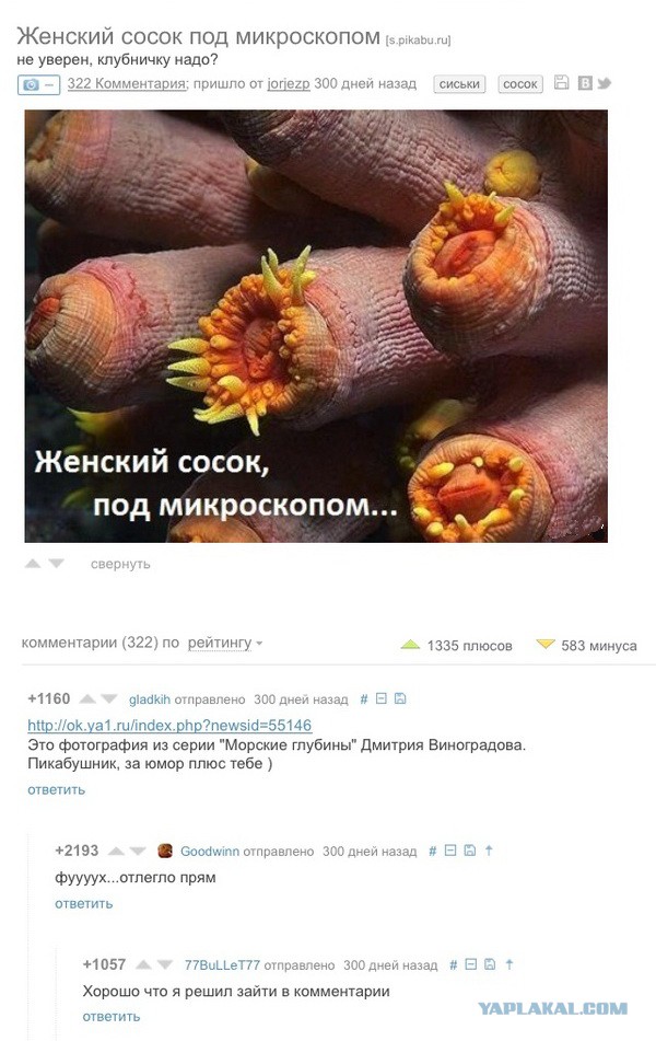 Смешные комментарии из социальных сетей #2