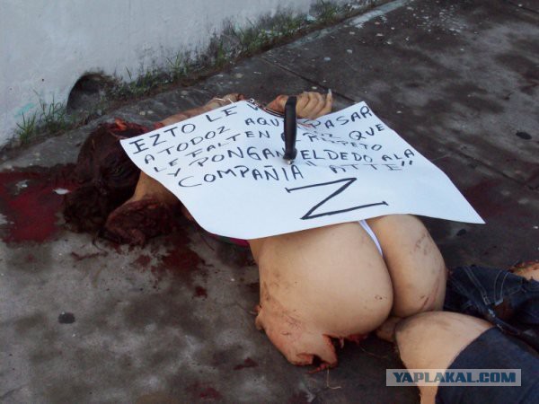 Любите авокадо? Будьте осторожны!
