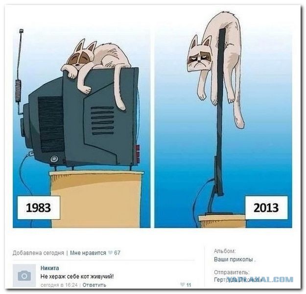 И снова смешные комментарии