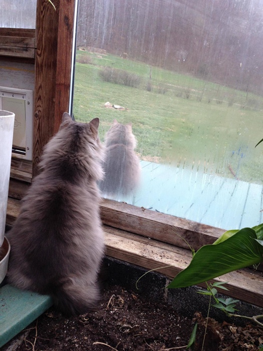 Сбой в матрице