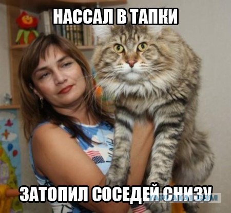 Немного позитива на пятницу.