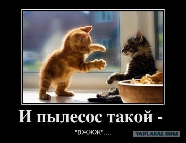 Небольшая подборка фото