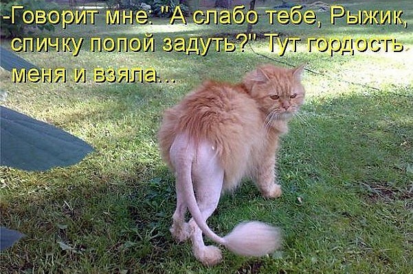 Плюсомет со шпалометом