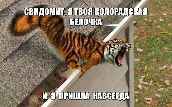 Армия РФ воюет с «боевиками» в Горловке