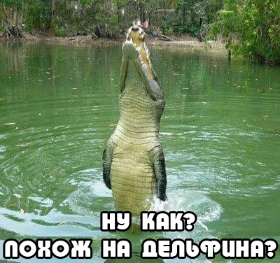 Весёлые картинки