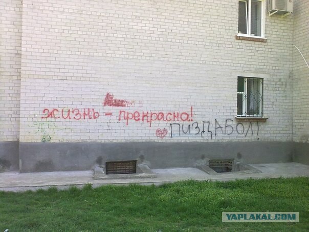 Очередная подборка приколов