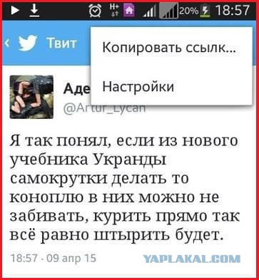 Мыздобулы в картинках