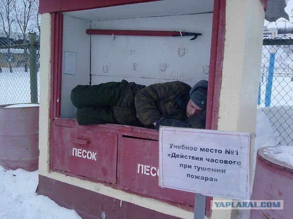 Солдат не спит и смотрит в оба