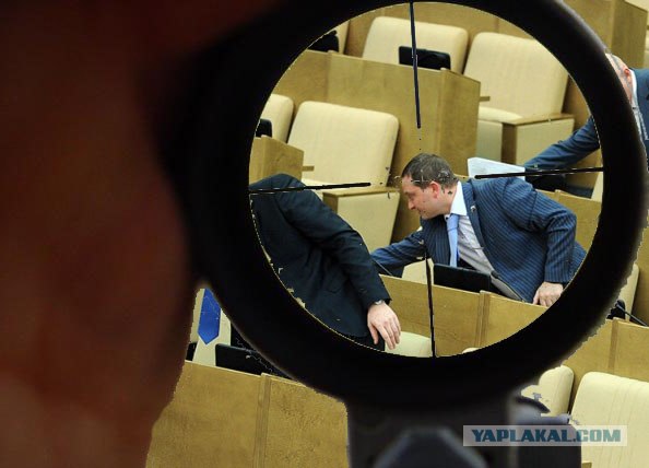 Кнопкодавы