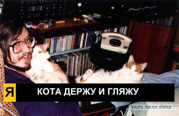 Егор Летов тоже любил котиков!