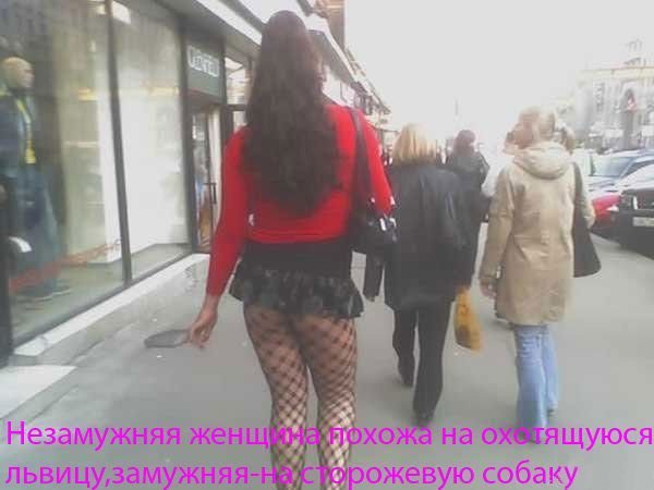 Картинки и прочее