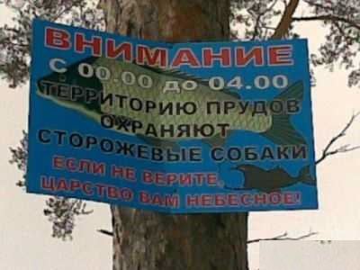 Картинки на пятницу