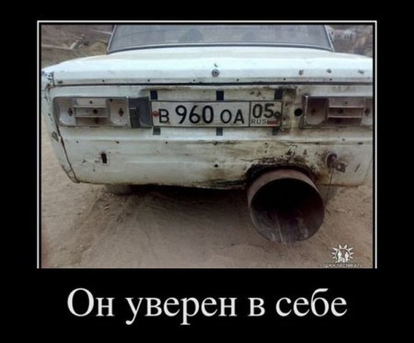 Подборка прикольных фото на пятницу
