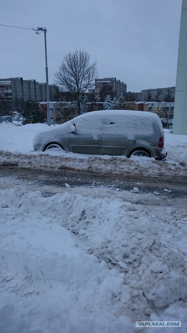 Люди познаются...после снегопада.