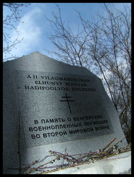 Если это правда,то почему Воронеж не город-герой?