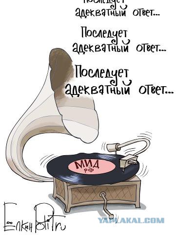 Депутат Рады сорвал российский флаг с консульства РФ во Львове