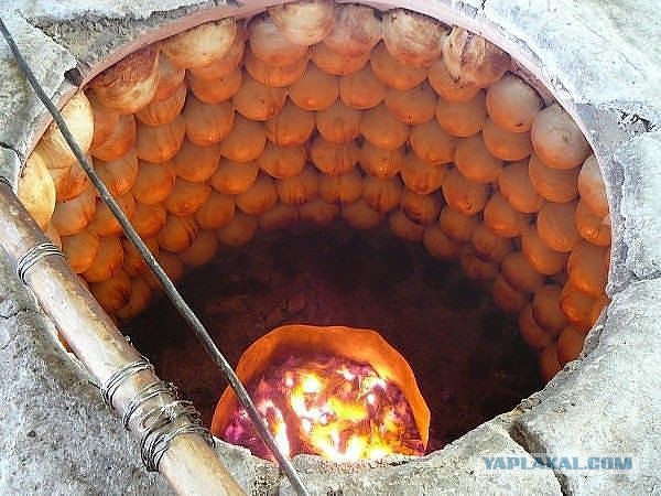17 блюд и напитков, запрещенных во многих странах мира