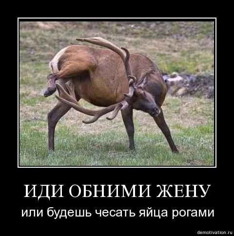 Демотиваторов немножко.