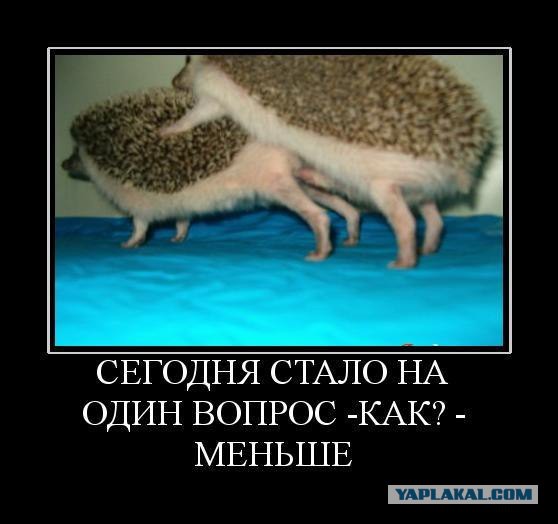 Немного юмора