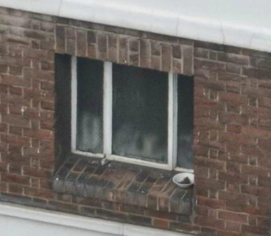 Панорама Лондона или рассмотреть лицо прохожего...