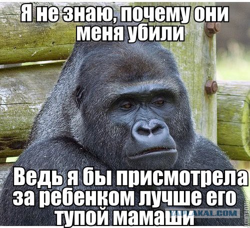 Десятки тысяч людей просят наказать родителей ребенка из-за гибели гориллы