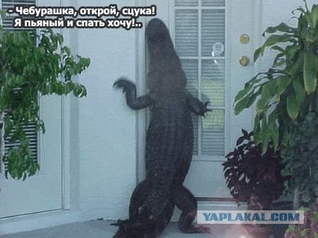 Смешные картинки (30 фото)